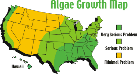 Algae spreading