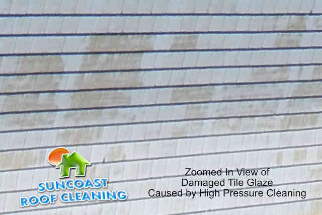 Suncoast Roof Cleaning - Soft Wash in Sarasota