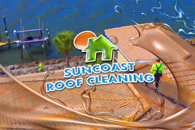 professional roof cleaning services